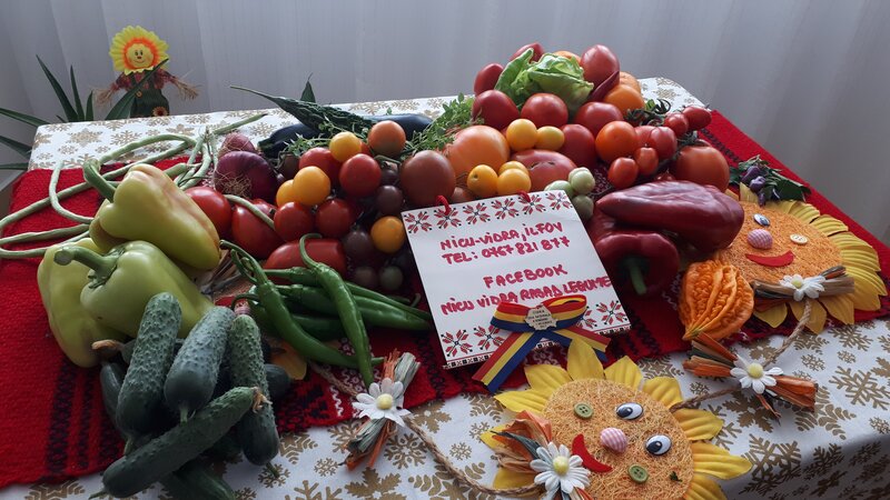 Rasaduri legume de vanzare 2026: rasad de rosii, ardei, vinete, altele