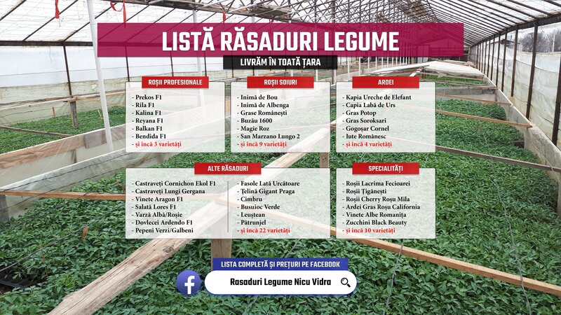 Rasaduri legume de vanzare 2026: rasad de rosii, ardei, vinete, altele
